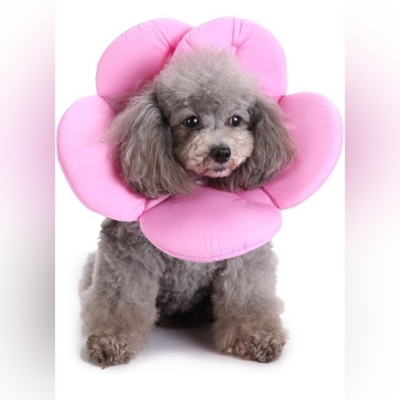 Dog Cat Flower Cone Collar Soft Collar Pink - Picture 2 of 7